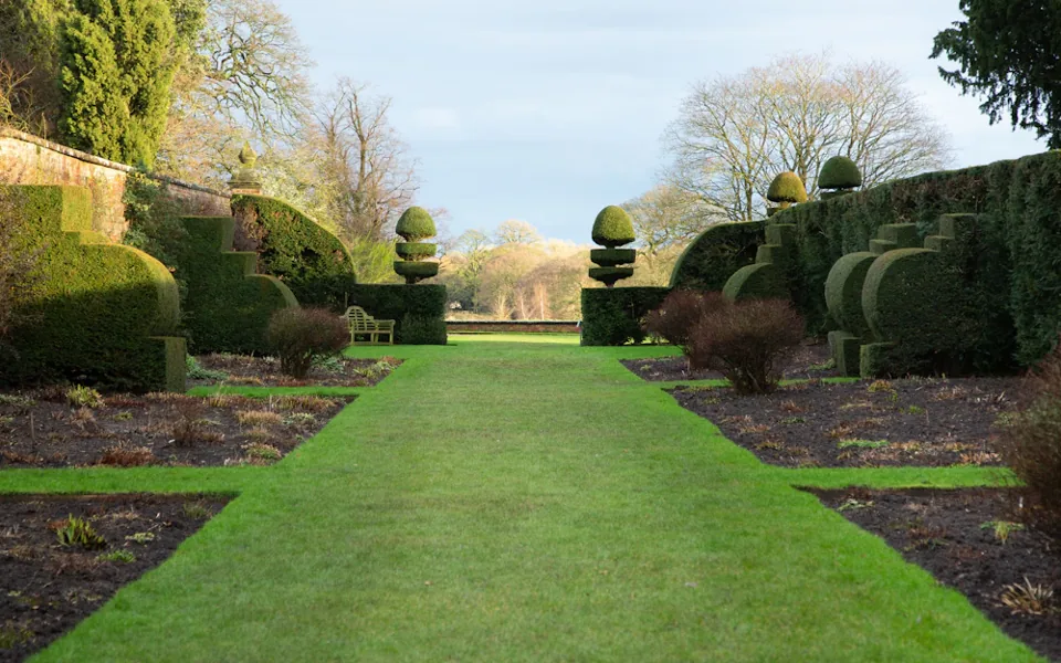 Manicured lawn and garden borders — sample design photography
